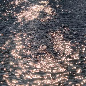 日本巨茎胖熊GV网站anime
