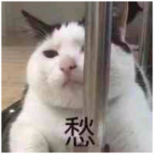 日本巨茎胖熊GV网站anime
