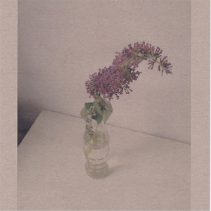 日本巨茎胖熊GV网站anime
